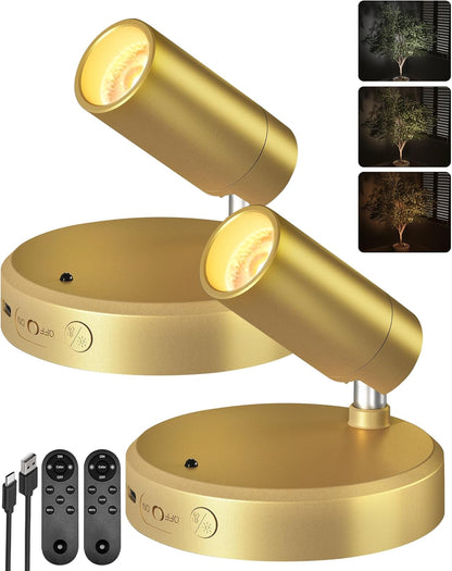 Wireless rechargeable picture light illuminating artwork on a wall, no cords visible