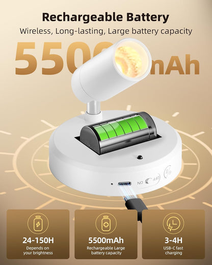 Wireless rechargeable picture light illuminating artwork on a wall, no cords visible