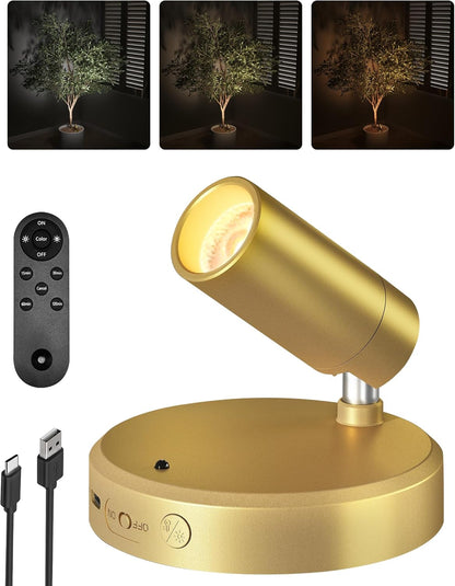Wireless rechargeable picture light illuminating artwork on a wall, no cords visible