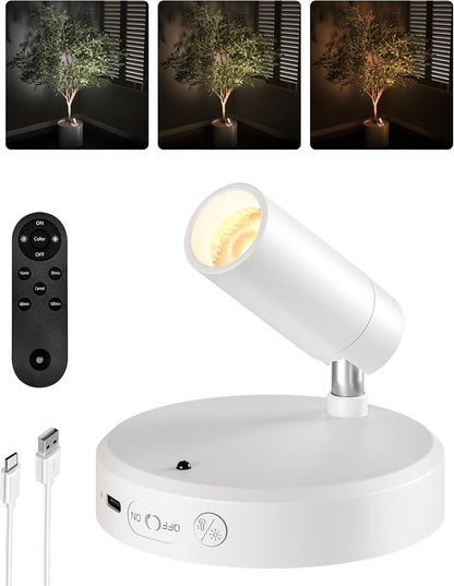 Wireless rechargeable picture light illuminating artwork on a wall, no cords visible