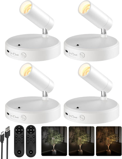 Wireless rechargeable picture light illuminating artwork on a wall, no cords visible