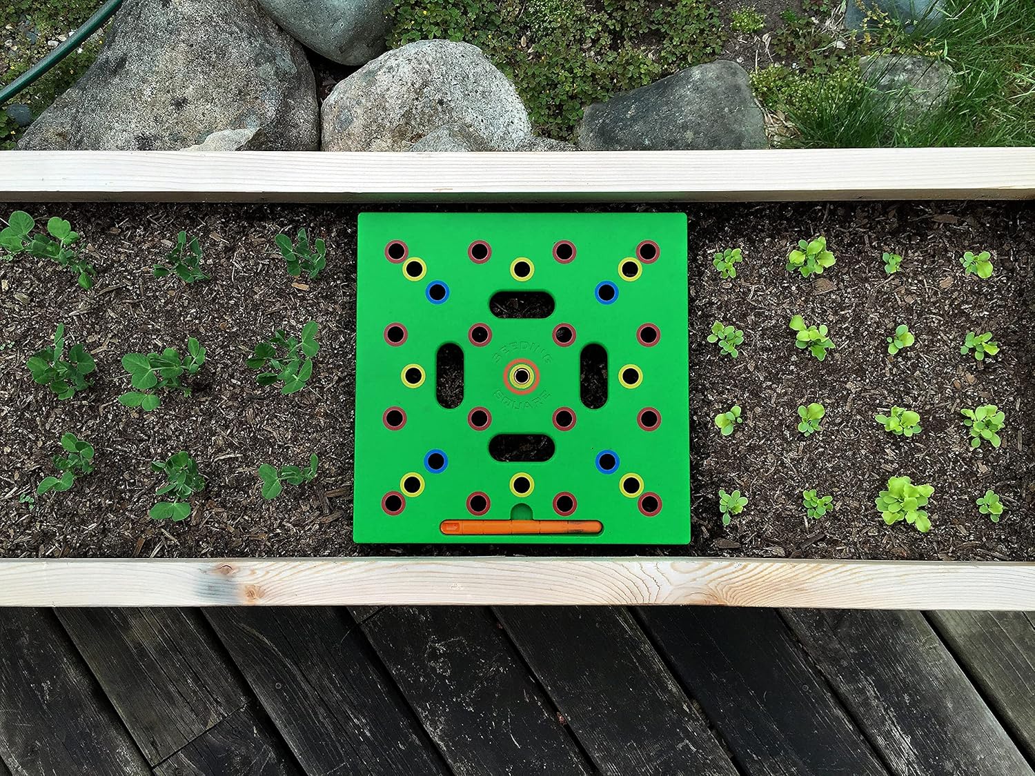 Square foot garden seed spacing template on a raised bed for beginners