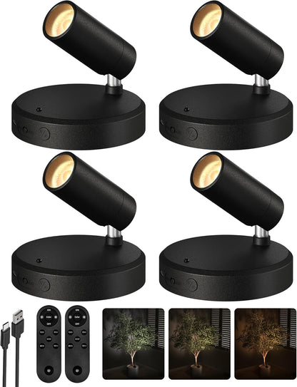 Wireless rechargeable picture light illuminating artwork on a wall, no cords visible