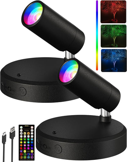 Wireless rechargeable picture light illuminating artwork on a wall, no cords visible