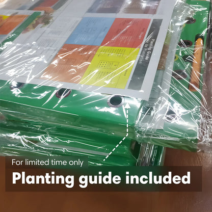 Square foot garden seed spacing template on a raised bed for beginners